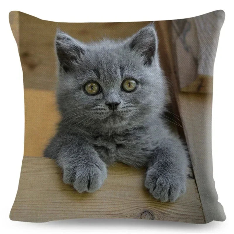 Axyaa Fold Ear Cat Pillow Covers - Set of 2 Cute Pet Pillowcases