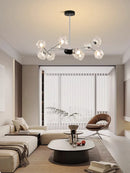 Axyaa Glass Chandelier: Modern Luxury Living Room Lights