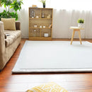 Axyaa 2cm Coral Fleece Carpet | Custom Size | Thickened | Branded Quality