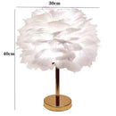 Axyaa Nordic Feather LED Desk Lamp: Modern & Minimalist Lighting Fixture
