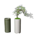 Axyaa Mini Ice Crack Glaze Succulent Pot - Small Straight Ceramic Flower Pot