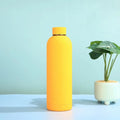 Axyaa Stainless Steel Small Mouth Vacuum Cup - 500ML Gym Bottle