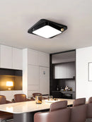 Axyaa Modern Minimalist LED Ceiling Light White Black House Lighting