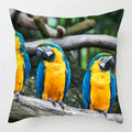 Colorful Parrots Decorative Cushion Cover by Axyaa - 45x45cm