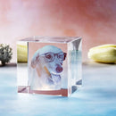 Axyaa Crystal Pet Memorial Keepsake - Personalized Sympathy Tribute Gift for Beloved Departed Pet