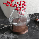 Axyaa Glass Vase Fluid Abstract Terrarium Home Decoration