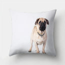 Axyaa Pug Dog Print Cushion Cover Throw Pillow for Sofa Living Room Decor