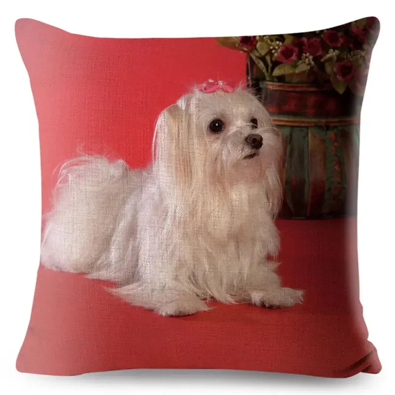 Maltese Dog Pillow Cover by Axyaa - Decorative Cushion Case for Home and Car