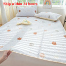 Axyaa Ice Silk Mat Cool Mattress Protector Set