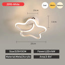 Axyaa LED Aisle Ceiling Light for Home Decor, Acrylic Cloakroom Balcony Foyer Luminaire