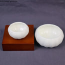 Axya White Ceramic Sea Urchin Dessert Bowl Set for Home Dining