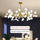 Axyaa Modern Firefly LED Chandelier for Living Room, Dining, Bedroom - Luxurious Home Decor Lighting