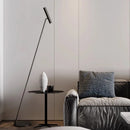Axyaa Modern Long Arm Floor Lamp for Art Decor, Indoor Lighting and Creative Reading
