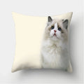 Cute Cat Print Cushion Cover for Sofa Decor by Axyaa