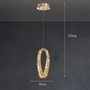 Axyaa Pendant Ceiling Light LED Chandelier Modern Decorative Dining Room Interior Lamp
