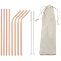 Axyaa Stainless Steel Reusable Drinking Straw Set - Eco-Friendly Bar Accessory