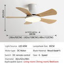Axyaa Modern Nordic Ceiling Fan Light 5-Leaf LED Children Bedroom Decor