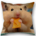 Axyaa Hamster Series Sofa Cushion Cover Pillowcase - Home Party Car Bedding