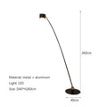 Axyaa Modern Minimalist LED Floor Lamp for Living Room & Bedroom