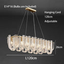 Axyaa Luxury LED Ceiling Chandelier Pendant Lighting Fixture