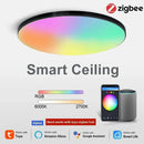 Axyaa Smart RGB Ceiling Light: Voice Control, Dimmable, WiFi, App Control