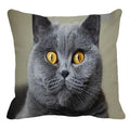 Axyaa British Shorthair Cat Pillow Cover 45X45cm Square Cushion