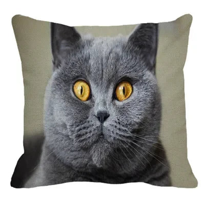 Axyaa British Shorthair Cat Pillow Cover 45X45cm Square Cushion