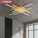 Axyaa LED Chandelier Ceiling Light for Living Room Bedroom Dining Kitchen