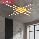 Axyaa LED Chandelier Ceiling Light for Living Room Bedroom Kitchen Interior Decor