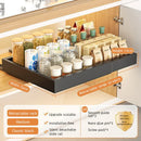 Axyaa Retractable Spice Drawer Organizer with Slide Rails - Cabinet Storage Rack
