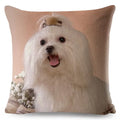 Maltese Dog Pillow Cover by Axyaa - Decorative Cushion Case for Home and Car