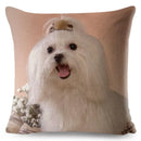 Maltese Dog Pillow Cover by Axyaa - Decorative Cushion Case for Home and Car
