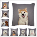 Axyaa Dog Art Print Polyester Cushion Cover for Home Sofa Car Decor