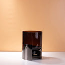 Amber Double Layer Glass Vase by Axyaa - Floral Arrangement & Room Decoration Accessory