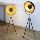 Axyaa Adjustable Tripod Floor Lamp for Home Decor & Photo Studio