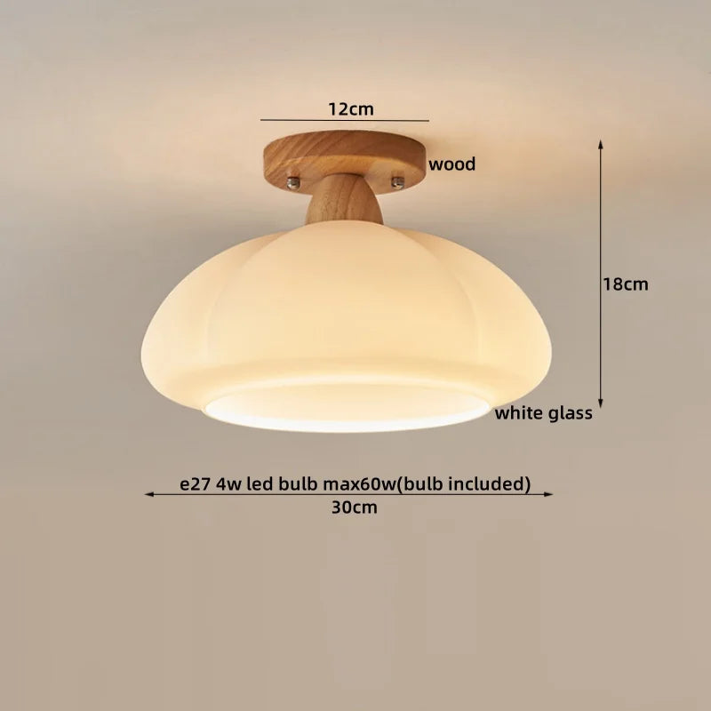 Axyaa Modern LED Ceiling Light for Indoor Lighting - Nordic Style Balcony Living Room Fixture