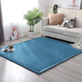 Axyaa Coral Fleece Soft Area Rug for Living Room, Bedroom, or Yoga Mat