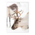 Nordic Elk House Winter Canvas Wall Art by Axyaa