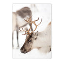 Nordic Elk House Winter Canvas Wall Art by Axyaa