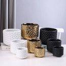 Axyaa Gold Ceramic Succulent Flowerpot Vase Balcony Decor Plant Pots