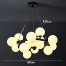 Axyaa Modern Ceiling Chandelier for Dining Room and Living Room Lighting