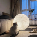 Axyaa Nordic Moon LED Floor Lamp for Home Decoration and Bedroom Lighting