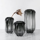 Axyaa Glass Vase Clear Thick Hydroponics Terrarium Home Decor Accessory