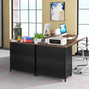 Axyaa Wood Lateral File Cabinet 2-Drawer, Home Office Filing Cabinet