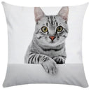 Axyaa Black Cat Bubble Pillow Cases - Premium Animal Cushion Cover for Home Decor