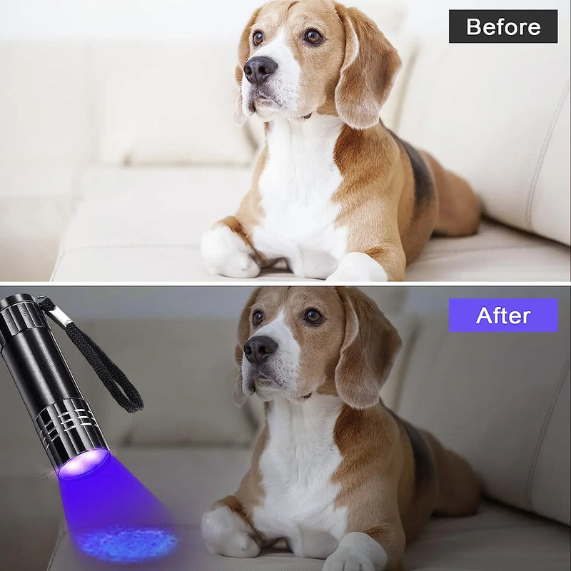 Axya UV Flashlight: 395-400nm Black Light Detector for Pet Urine Stain