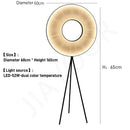 Axyaa Postmodern Minimalist Floor Lamp for Home, Cafe & Restaurant Décor