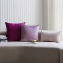 Axyaa Luxury Velvet Cushion Cover for Sofa Living Room Decor 45x45 30x50 50x50