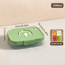 Axyaa Divided Bento Lunch Box | Portable & Leak-proof | Microwave Safe