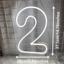Axyaa LED Numbers Neon Lamps for Wedding Birthday Party Sign Lights